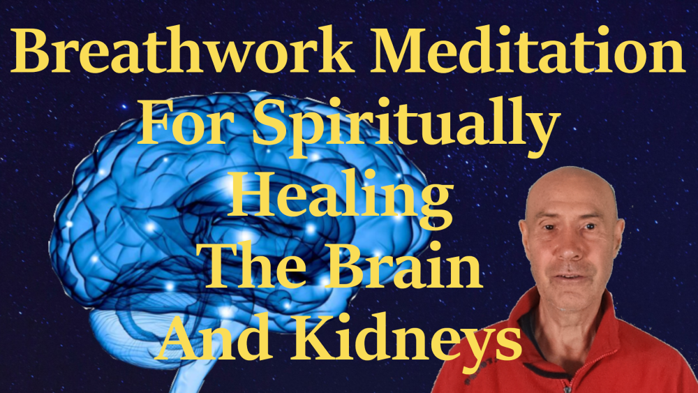 kundalini brain 2b 1000