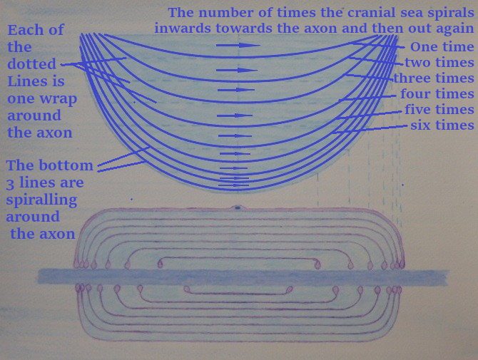 5.0 5 flow spiral 