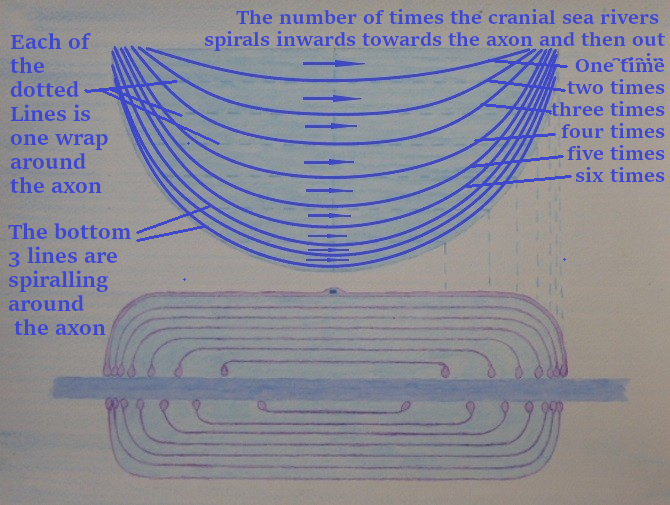 5.0 5 flow spiral rivers 4ab 