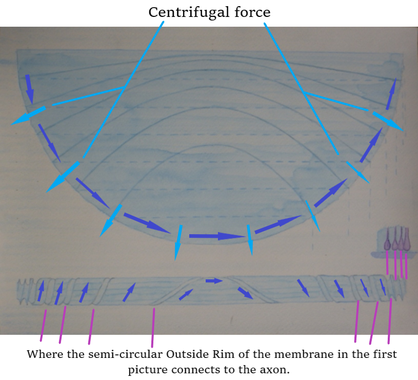 5.1 fow direction CENT 1