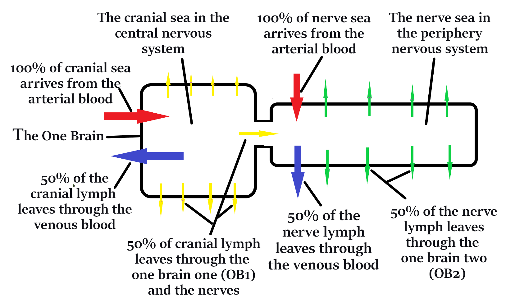 LYPTH 1Correct lines