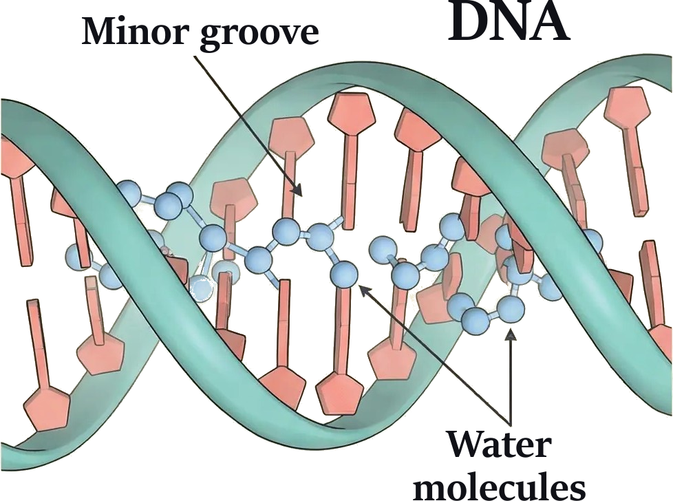 Water dna 2 crop clear 2a 