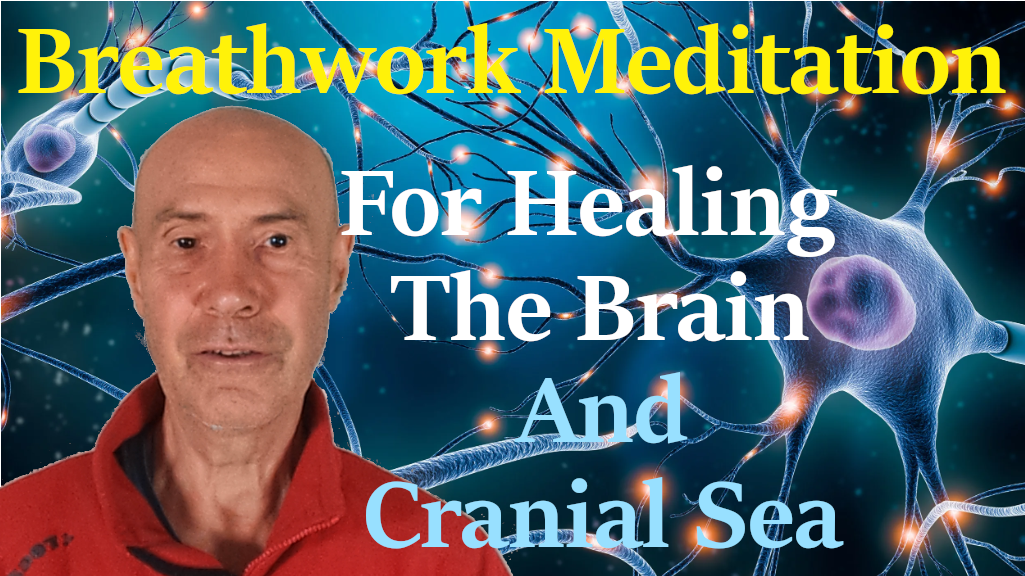 cranial short 1b