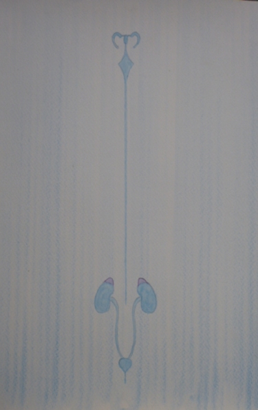 d89be22183c1a02a62d4858146e04788