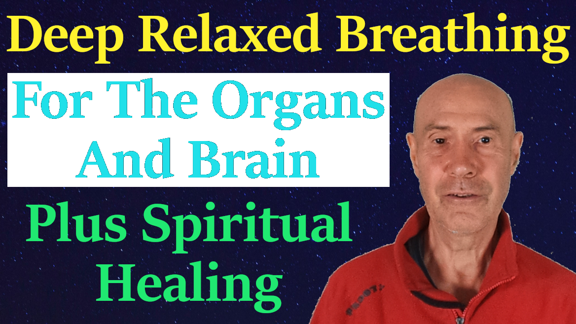 gut brain healing 2 