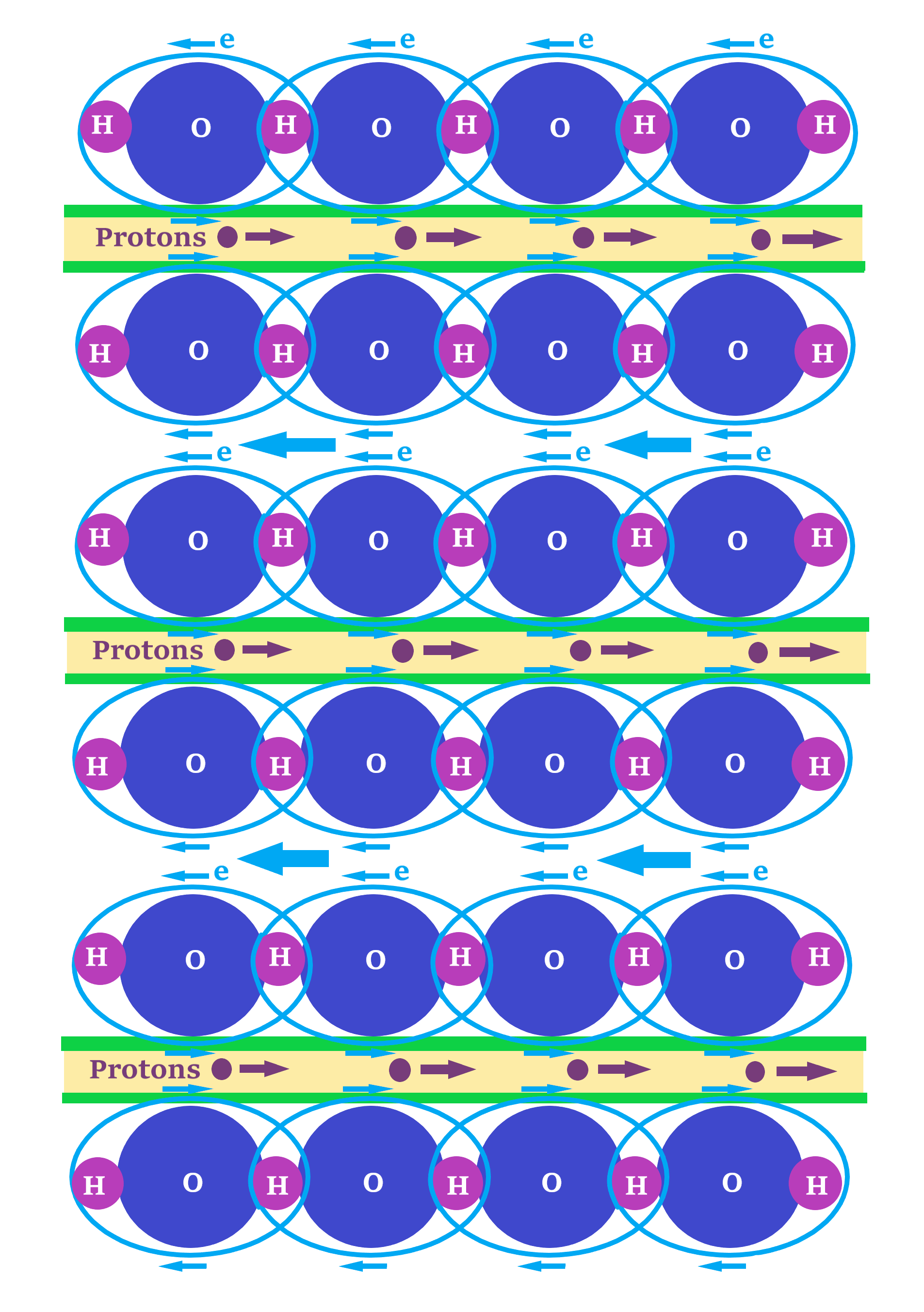 hoe 6 no text quantum 1 ce
