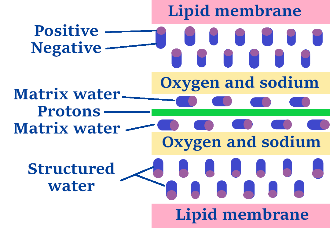 matrix water 1a 