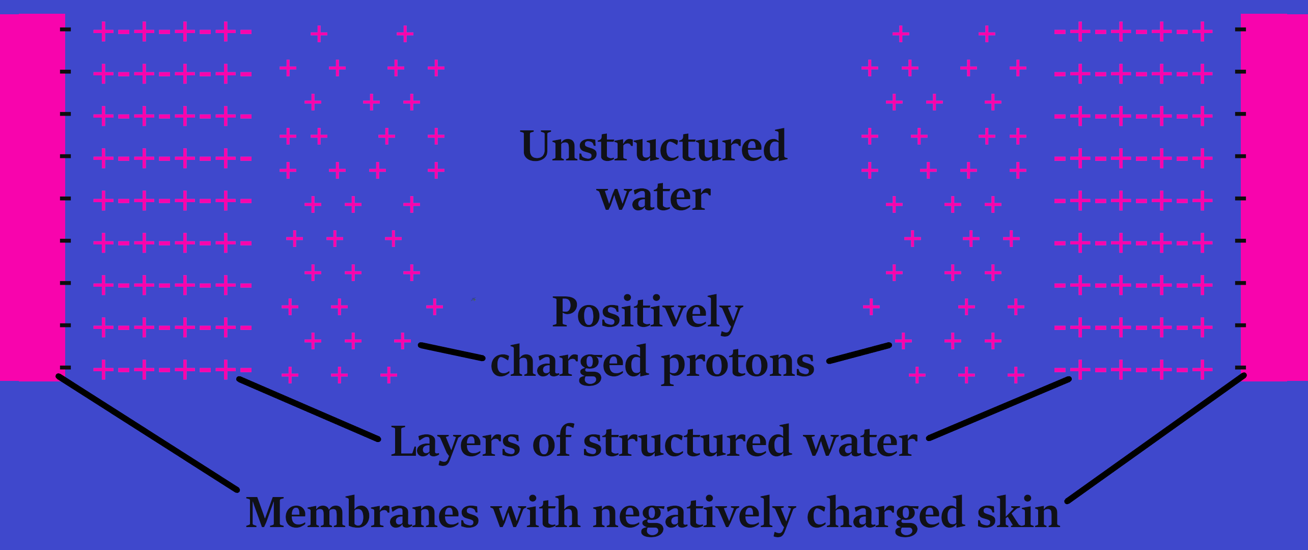 stuctured water text lines 2 m