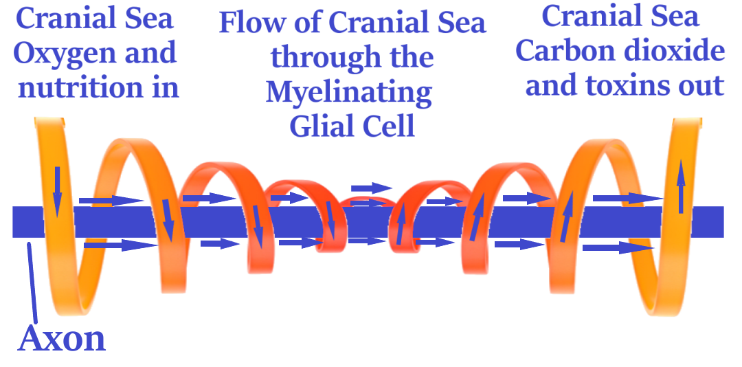 tube clear 6s TEXT 1080