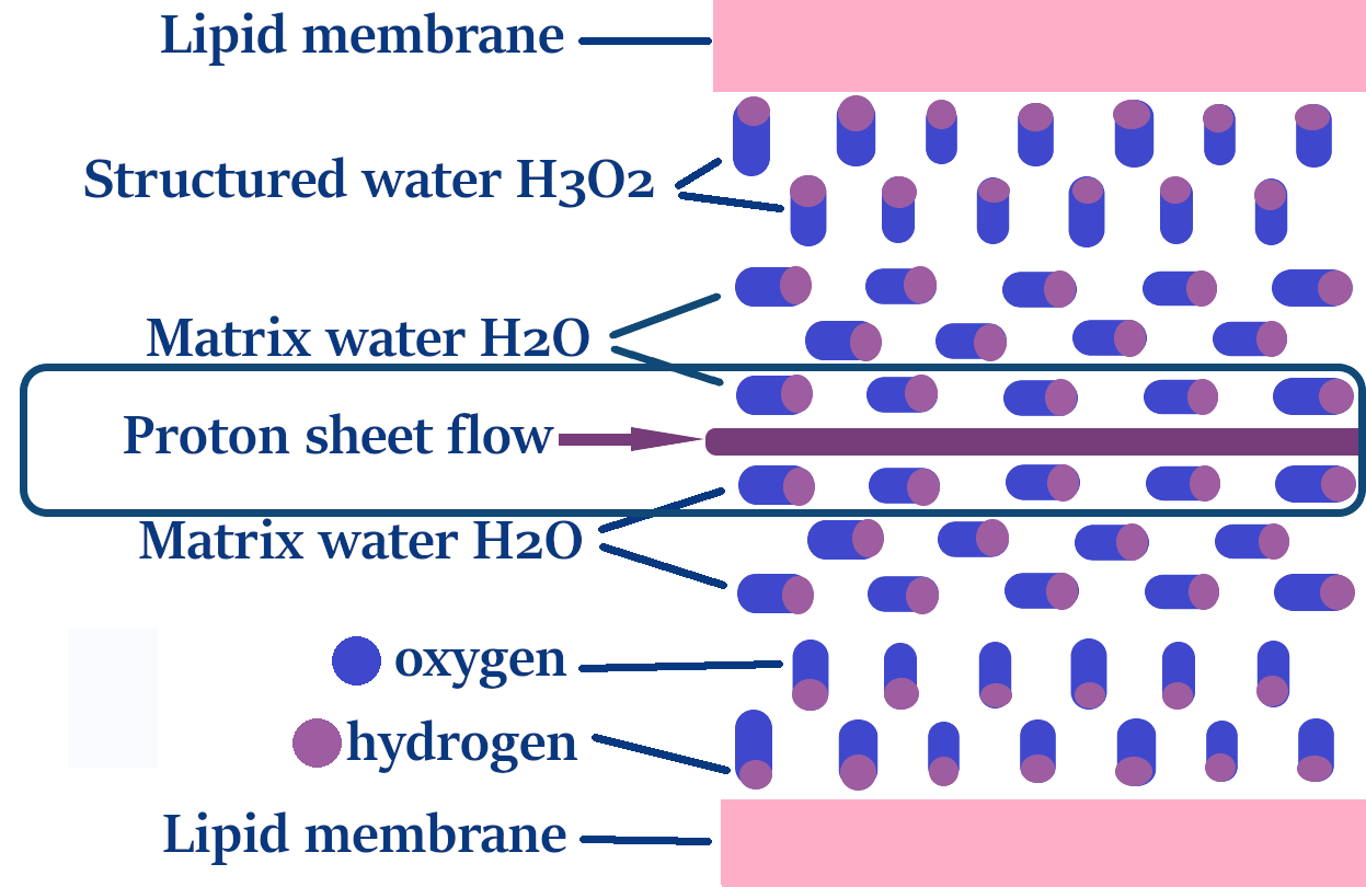 water 345 arrow box