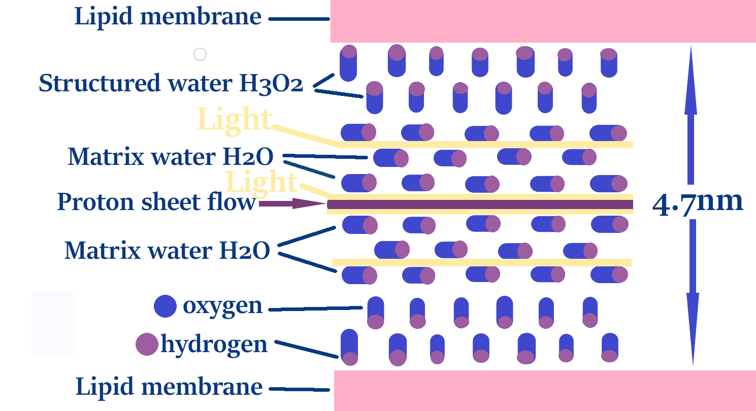 water 345 arrow 3 text 4.7 2 ar