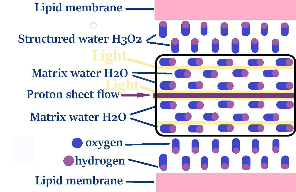 water 345 electron box