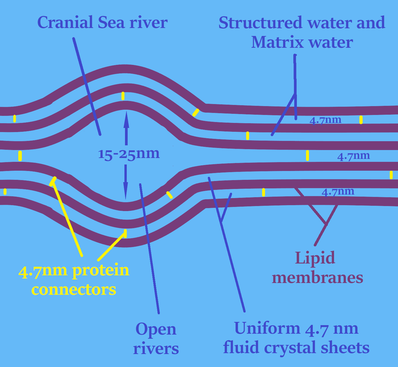 water eye 2 